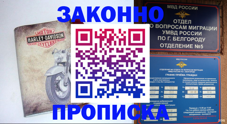 прописка для школы в Моршанске